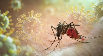 Avertisment pentru turiști. Virus tropical care poate duce la afectarea organelor, depistat într-o destinație (…)