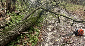 Misiuni pe bandă rulantă în Argeş. Mai multe clădiri, inclusiv din Piteşti, s-au inundat