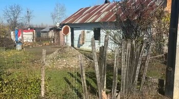 O nouă crimă îngrozește România. O femeie din județul Olt a fost omorâtă în bătaie de concubin. 52 de cazuri de (…)