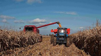 Agricultura românească, invizibilă în topul european: Andaluzia face 16 miliarde euro, noi nu depășim 2 miliarde