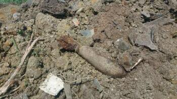 600 de bombe, 70 de cartușe și trei proiectile, găsite într-o pădure din Argeș