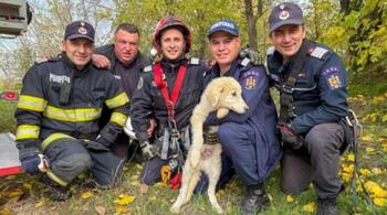 Câine salvat de pompieri după o cădere de 15 metri într-un puț
