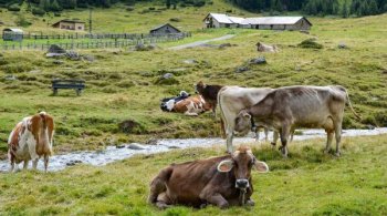 Calendarul fonduri europene AFIR 2026