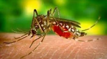 Opt cazuri de infecţie cu virusul West Nile înregistrate de la începutul lunii iunie
