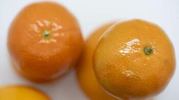 Nu mai arunca coaja de portocală! Medicii spun că e mai sănătoasă decât fructul în sine