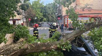 Copaci căzuţi şi stâlpi doborâți în Bucureşti şi Ilfov în urma furtunii