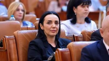 Deputații PSD invită Guvernul la colaborare pentru legea împotriva hrănirii urșilor