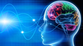 Cunoașterea mai multor limbi poate încetini îmbătrânirea creierului