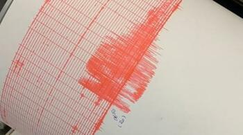 Cutremur cu magnitudinea 3,6 în Vrancea