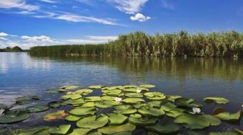 Delta Dunării, în colaps ecologic. Lucrările de dragare în partea ucraineană afectează grav ecosistemul