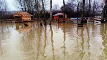 Acuzație gravă: comună inundată de Apele Române. Dezastru la Mogoșani, ignorat de autorități