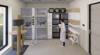 Eforturi pentru deschiderea primului spital social veterinar din România