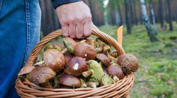 Femeie condamnată pentru crimă triplă în cazul ciupercilor otrăvitoare
