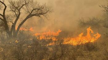 Incendiu de proporții în Chilia. Mii de hecare de vegetație sunt cuprinse de flăcări