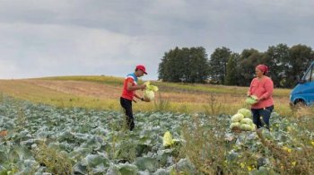Ministerul Agriculturii a inventat austeritatea de catifea: 0 concedieri, 8 comasări. Gaura neagră rămâne