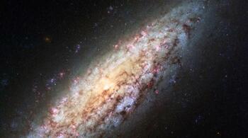 Observatorul LIGO confirmă pentru prima dată teoria lui Stephen Hawking privind găurile negre