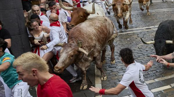Pamplona, sub semnul taurilor: o tradiție sângeroasă veche de secole care continuă să facă victime