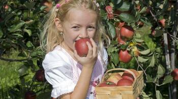 Pomul fructifer al fiecărei luni de naștere: O tradiție modernă cu farmec aparte