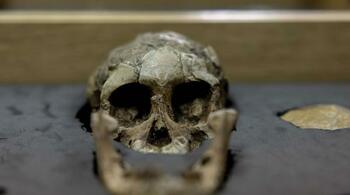 Prima dovadă științifică a existenței ciumei negre în Edinburgh, descoperită pe un schelet