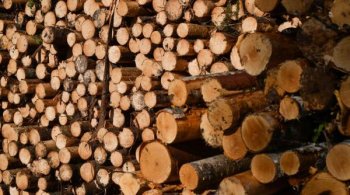 Regulamentul UE „produse fără defrișări”, amânat până la sfârșitul anului 2026