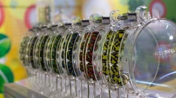 Reportul la Joker, la categoria I, se apropie de 8 milioane de euro