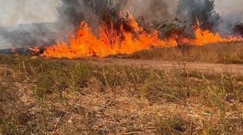 Incendiu de vegetație în Dâmbovița. A fost emis mesaj RO-Alert