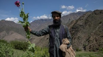 Țara care a atins cel mai ridicat nivel al cultivării opiului din ultimul deceniu, potrivit ONU