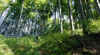 Care sunt țările din UE cele mai conectate cu natura?