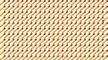 Test IQ pentru genii | Doar cei cu o minte sclipitoare descoperă bățul de chibrit diferit din imagine