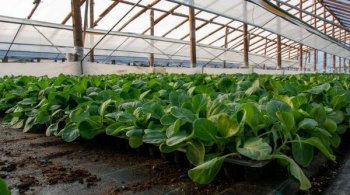 Veși proaste pentru fermieri: Ce impozit vor plăti din 2026