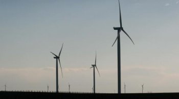 Vultur omorât de turbina unei eoliene