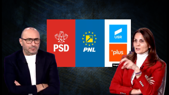 Anca Alexandrescu: „Când politicul ajunge într-o poziție, se trag unii pe alții. Se întâmplă acest lucru la toate (…)