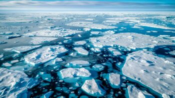 Viața a existat în Oceanul Arctic chiar și în erele glaciare, a descoperit o echipă internațională de cercetători