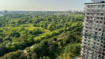 De ce pădurile urbane prind greu rădăcini, chiar și cu bani gratis. Primăriile au atras mai puțin de 10% din (…)