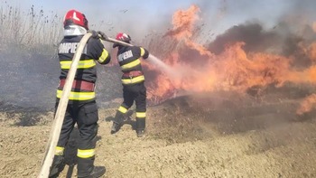 Incendiu de vegetație uscată în Batăr. Un bărbat a suferit arsuri de gradul 3 pe jumătate din corp