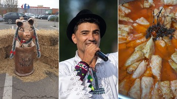 „D’ale Porcului” 2025, în Băile Felix