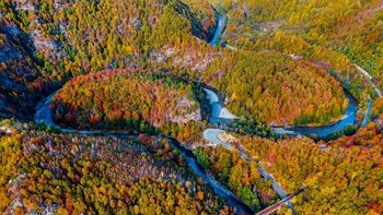 Hidrocentrale vs. mediu. ONG-urile îi cer președintelui să atace la CCR legea care rupe din ariile protejate