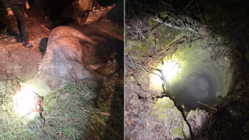 Luptă contra timpului: Pompierii au salvat un cal aproape fără suflare