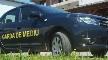 În primul semetru, Garda de Mediu Bihor a aplicat amenzi de peste 4 milioane lei. Rămân problemele privind deșeurile (…)