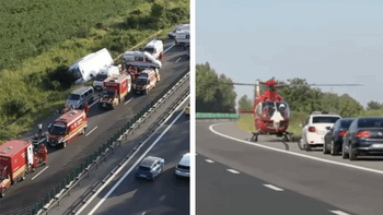 Răzvan Târlea, micuțul baschetbalist de 9 ani, a murit în accidentul cumplit de pe A2. Daria, o fetiță de 10 ani a (…)