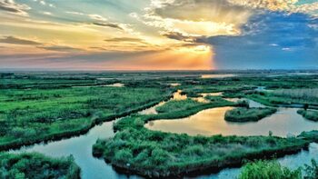 Ce suprafaţă din Delta Dunării se află în Ucraina? Una dintre cele mai noi formaţiuni geologice din Europa se (…)