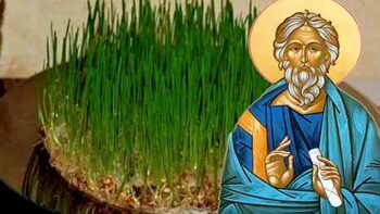 Grâul de Sfântul Andrei: cât de repede trebuie să răsară ca să fie semn bun