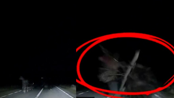 Scena groazei cu momentul în care o căruță cu patru copii este spulberată de o mașină, în Maramureș! Un bebeluș a murit