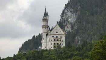 O femeie și-a închis câinele într-un dulap pentru că voia să viziteze un castel din Germania