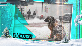 Schimbare bruscă de vreme în România! Meteorologii anunță că iarnă începe să-și intre în drepturi: unde va ninge și (…)