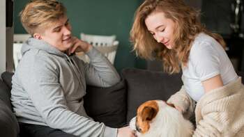 Divorțul și animalele de companie: Un avocat din New York creează contractul prenupțial pentru cuplurile cu patrupezi
