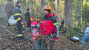 Accident mortal în județul Vâlcea. Un muncitor a fost strivit de un copac în zona montană
