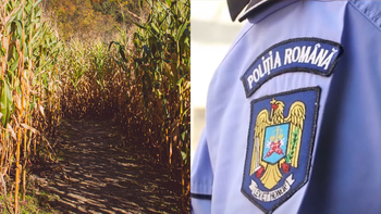 Descoperire terifiantă în Galați! Trupul carbonizat al unei femei a fost găsit într-un lan de porumb incendiat