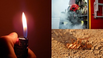 A vrut să scape de un gândac și a dat foc întregului bloc! O tânără de 20 de ani a creat un incendiu de proporții, (…)