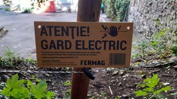 Gardul electric montat la Râșnov ține urșii departe de comunitate / Primăria: ”Nu am mai avut cazuri în care ursul (…)